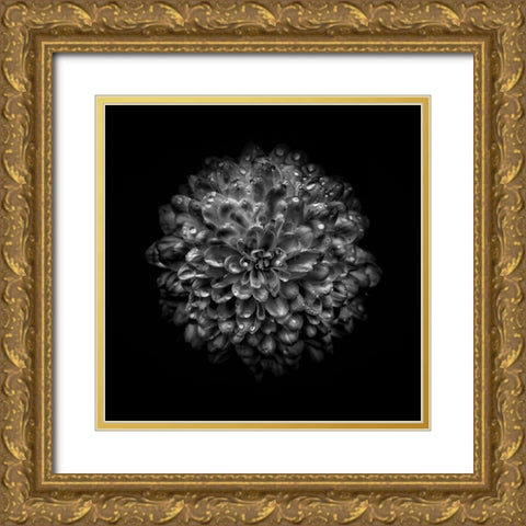 Black And White Mum III Gold Ornate Wood Framed Art Print with Double Matting by Carson, Brian