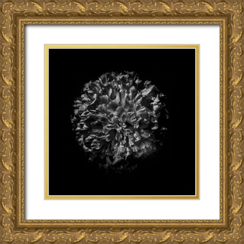 Black And White Mum V Gold Ornate Wood Framed Art Print with Double Matting by Carson, Brian