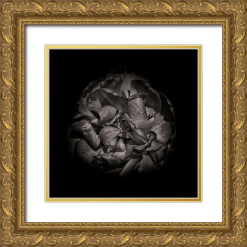 Black And White Peony I Gold Ornate Wood Framed Art Print with Double Matting by Carson, Brian