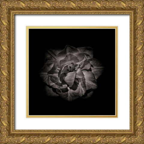Black And White Peony II Gold Ornate Wood Framed Art Print with Double Matting by Carson, Brian