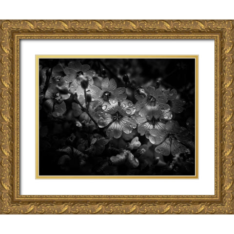 Black And White Petunia Gold Ornate Wood Framed Art Print with Double Matting by Carson, Brian