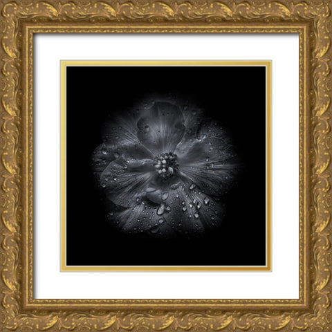 Black And White Petunia III Gold Ornate Wood Framed Art Print with Double Matting by Carson, Brian