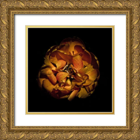 Orange Peony Gold Ornate Wood Framed Art Print with Double Matting by Carson, Brian