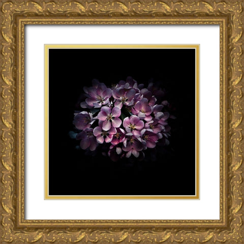Purple Verbena Gold Ornate Wood Framed Art Print with Double Matting by Carson, Brian
