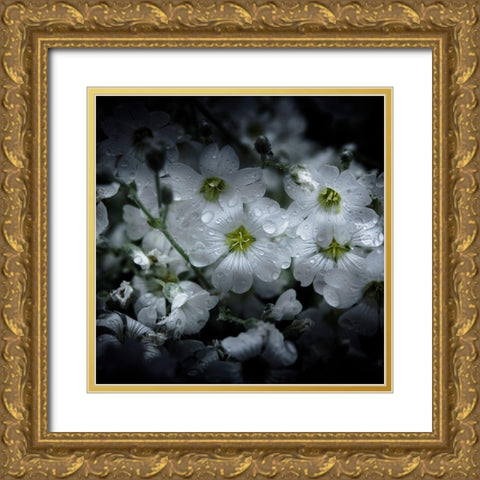 White Petunia Gold Ornate Wood Framed Art Print with Double Matting by Carson, Brian