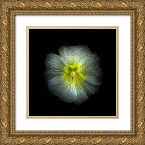 White Petunia Detail Gold Ornate Wood Framed Art Print with Double Matting by Carson, Brian