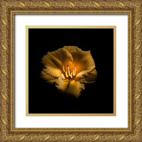 Yellow Lily Gold Ornate Wood Framed Art Print with Double Matting by Carson, Brian