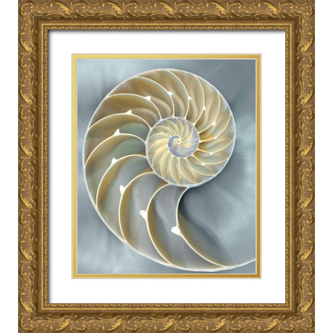 Nautilus in Blue I Gold Ornate Wood Framed Art Print with Double Matting by Kelly, Caroline