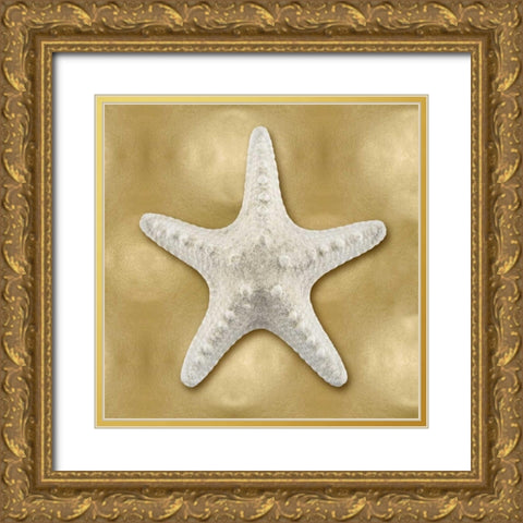 Ocean Gem on Gold VI Gold Ornate Wood Framed Art Print with Double Matting by Kelly, Caroline