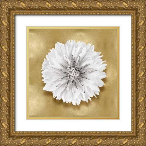 Pure IV Gold Ornate Wood Framed Art Print with Double Matting by Kelly, Caroline