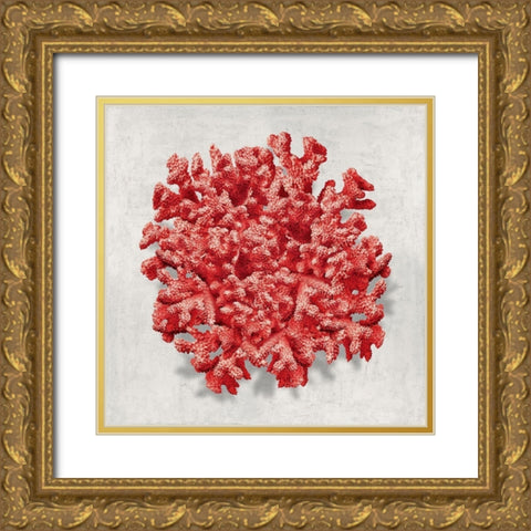 Coral Red II Gold Ornate Wood Framed Art Print with Double Matting by Kelly, Caroline