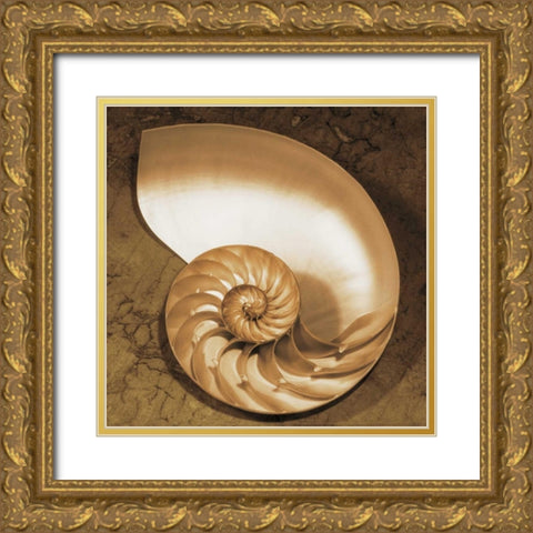 Chambered Nautilus Gold Ornate Wood Framed Art Print with Double Matting by Kelly, Caroline