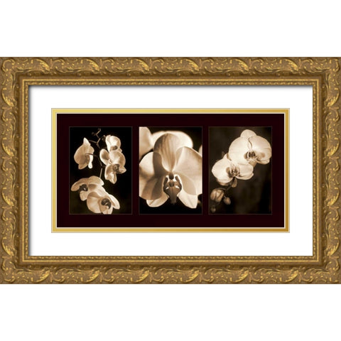 Orchid Trio Gold Ornate Wood Framed Art Print with Double Matting by Kelly, Caroline
