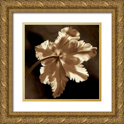 Parrot Tulip II Gold Ornate Wood Framed Art Print with Double Matting by Kelly, Caroline