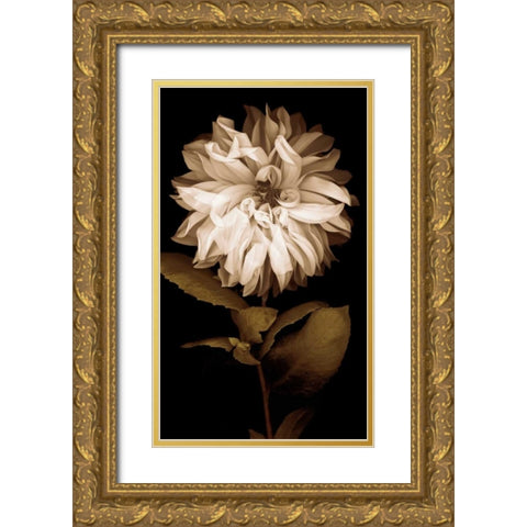 Dahlia I Gold Ornate Wood Framed Art Print with Double Matting by Kelly, Caroline
