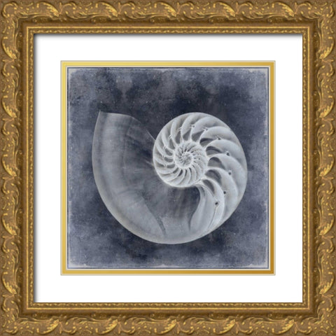 Ocean Blue IV Gold Ornate Wood Framed Art Print with Double Matting by Kelly, Caroline