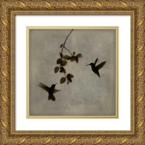 Dance in Flight II Gold Ornate Wood Framed Art Print with Double Matting by Donovan, Chris