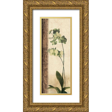 Dreamweaver I Gold Ornate Wood Framed Art Print with Double Matting by Donovan, Chris