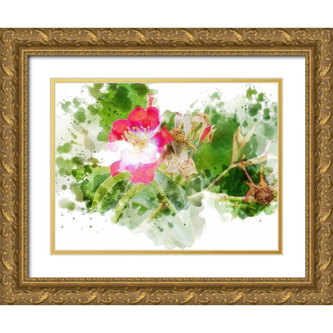 Floral in Bloom XIII Gold Ornate Wood Framed Art Print with Double Matting by Young, Chamira