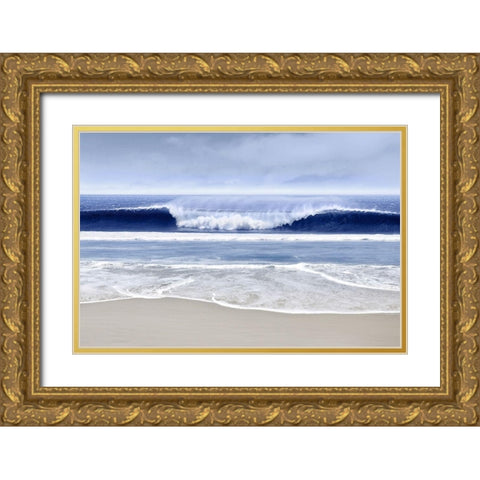 Blue Wave I Gold Ornate Wood Framed Art Print with Double Matting by Davis, Devon
