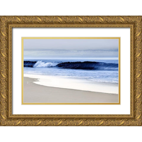 Blue Wave II Gold Ornate Wood Framed Art Print with Double Matting by Davis, Devon