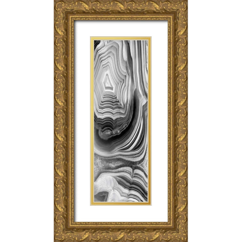 Agate Panel Grey I Gold Ornate Wood Framed Art Print with Double Matting by Carson, Danielle