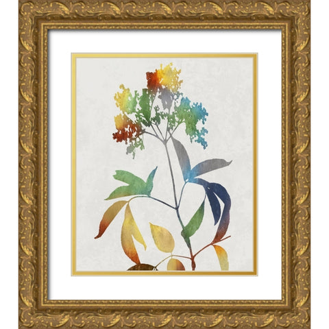 Colorful Nature V Gold Ornate Wood Framed Art Print with Double Matting by Carson, Danielle