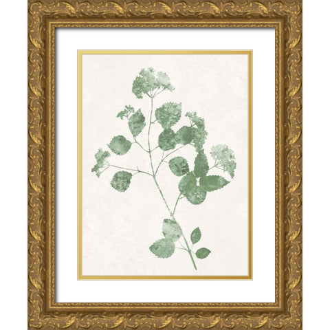 Nature Green VI Gold Ornate Wood Framed Art Print with Double Matting by Carson, Danielle