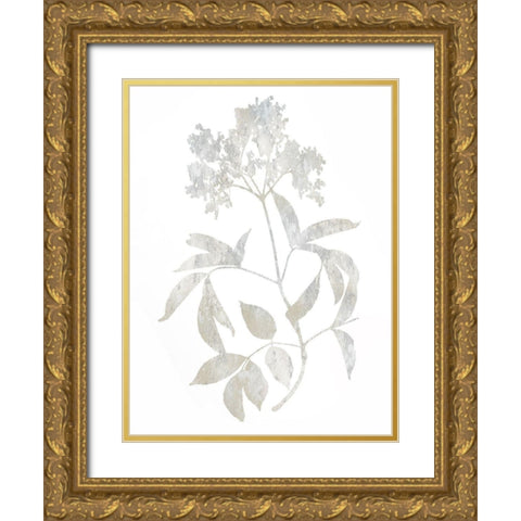 Natural Nature V Gold Ornate Wood Framed Art Print with Double Matting by Carson, Danielle