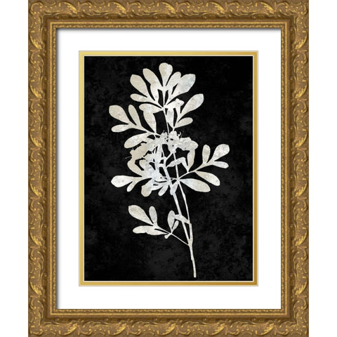 Nature White on Black II Gold Ornate Wood Framed Art Print with Double Matting by Carson, Danielle