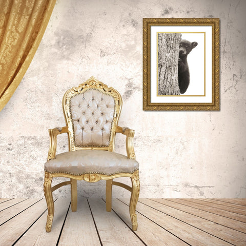 Boo Gold Ornate Wood Framed Art Print with Double Matting by Sproul, Dan