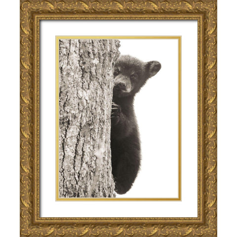 Boo Gold Ornate Wood Framed Art Print with Double Matting by Sproul, Dan