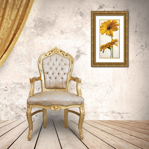 Armonie in giallo Gold Ornate Wood Framed Art Print with Double Matting by Barberini, Eva