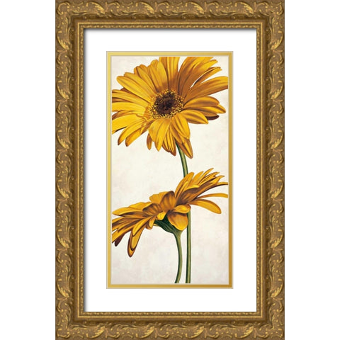 Armonie in giallo Gold Ornate Wood Framed Art Print with Double Matting by Barberini, Eva