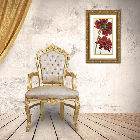 Armonie in rosso Gold Ornate Wood Framed Art Print with Double Matting by Barberini, Eva