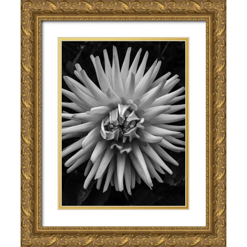 BandW Pop Gold Ornate Wood Framed Art Print with Double Matting by Bannon, Heidi