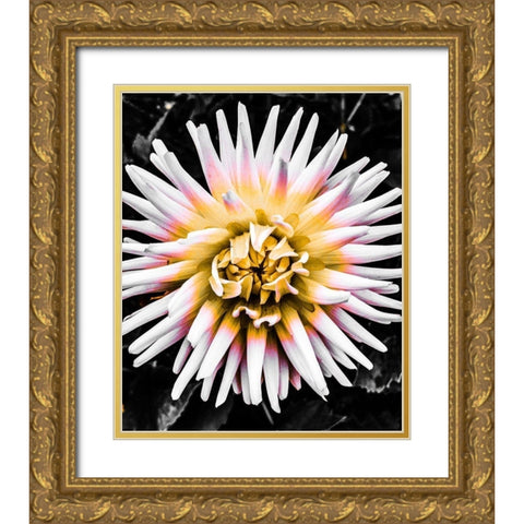 Color Pop Yellow Gold Ornate Wood Framed Art Print with Double Matting by Bannon, Heidi