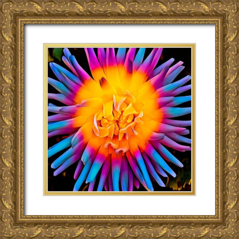Orange Bloom Pop Gold Ornate Wood Framed Art Print with Double Matting by Bannon, Heidi