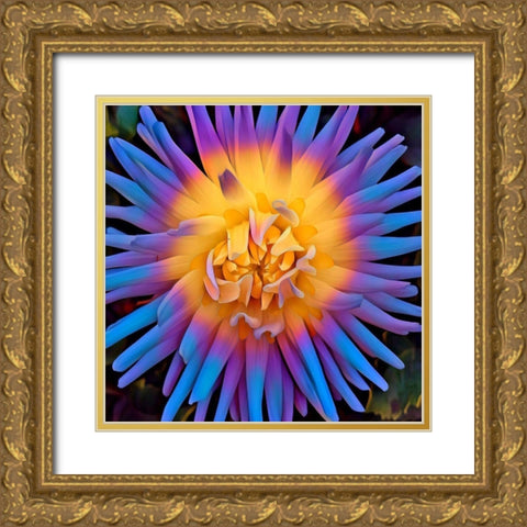 Pastel Pop Gold Ornate Wood Framed Art Print with Double Matting by Bannon, Heidi
