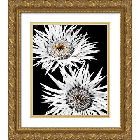 Black and White Awakening Gold Ornate Wood Framed Art Print with Double Matting by Bannon, Heidi