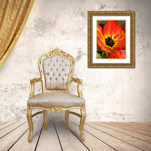 Full Sun I Gold Ornate Wood Framed Art Print with Double Matting by Bannon, Heidi