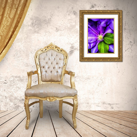 Clematis Spring Gold Ornate Wood Framed Art Print with Double Matting by Bannon, Heidi