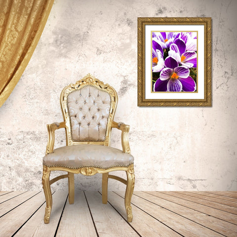 Springtime Dance Gold Ornate Wood Framed Art Print with Double Matting by Bannon, Heidi
