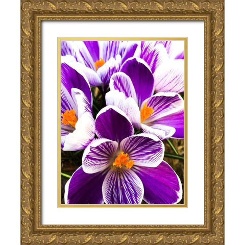 Springtime Dance Gold Ornate Wood Framed Art Print with Double Matting by Bannon, Heidi