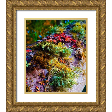 Must Love Moss Gold Ornate Wood Framed Art Print with Double Matting by Bannon, Heidi
