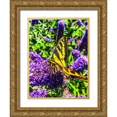 Coming in for a Landing I Gold Ornate Wood Framed Art Print with Double Matting by Bannon, Heidi