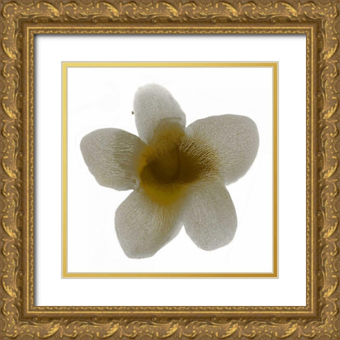 Bloom Taupe II Gold Ornate Wood Framed Art Print with Double Matting by Carlson, Hannah