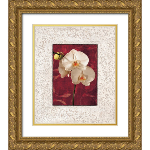 Orchids Gold Ornate Wood Framed Art Print with Double Matting by Seba, John