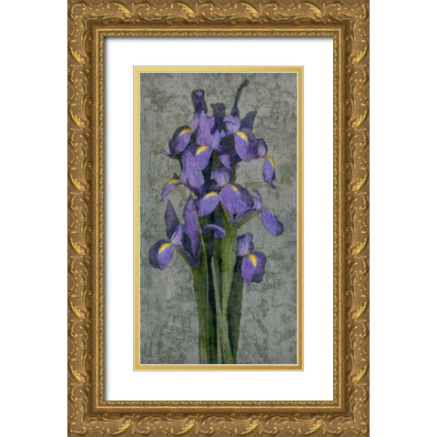 Purple Iris Gold Ornate Wood Framed Art Print with Double Matting by Seba, John