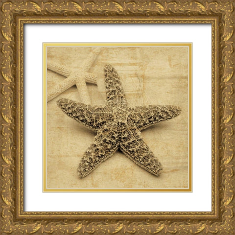 Starfish Gold Ornate Wood Framed Art Print with Double Matting by Seba, John